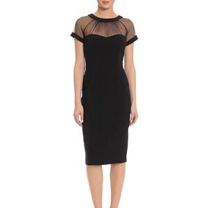 Elegant Black Sheer Dress